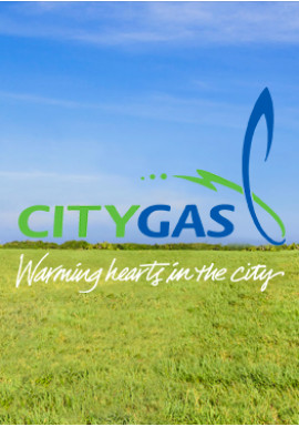 Il Kompatto a gas tra la selezione dei forni di City Gas - Singapore